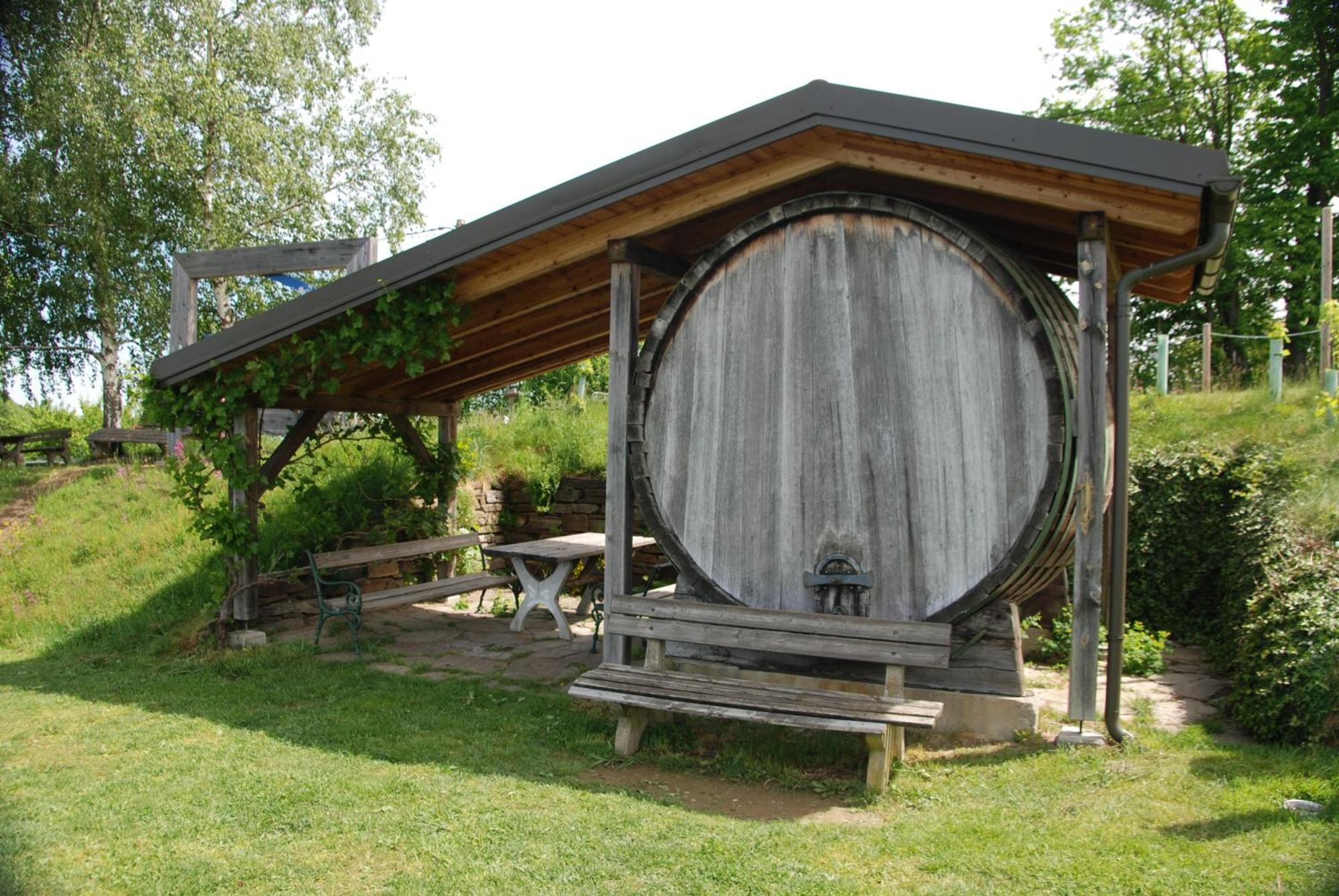Naturpark-.Weinbergferienhaus Kitzeck im Sausal Exterior foto