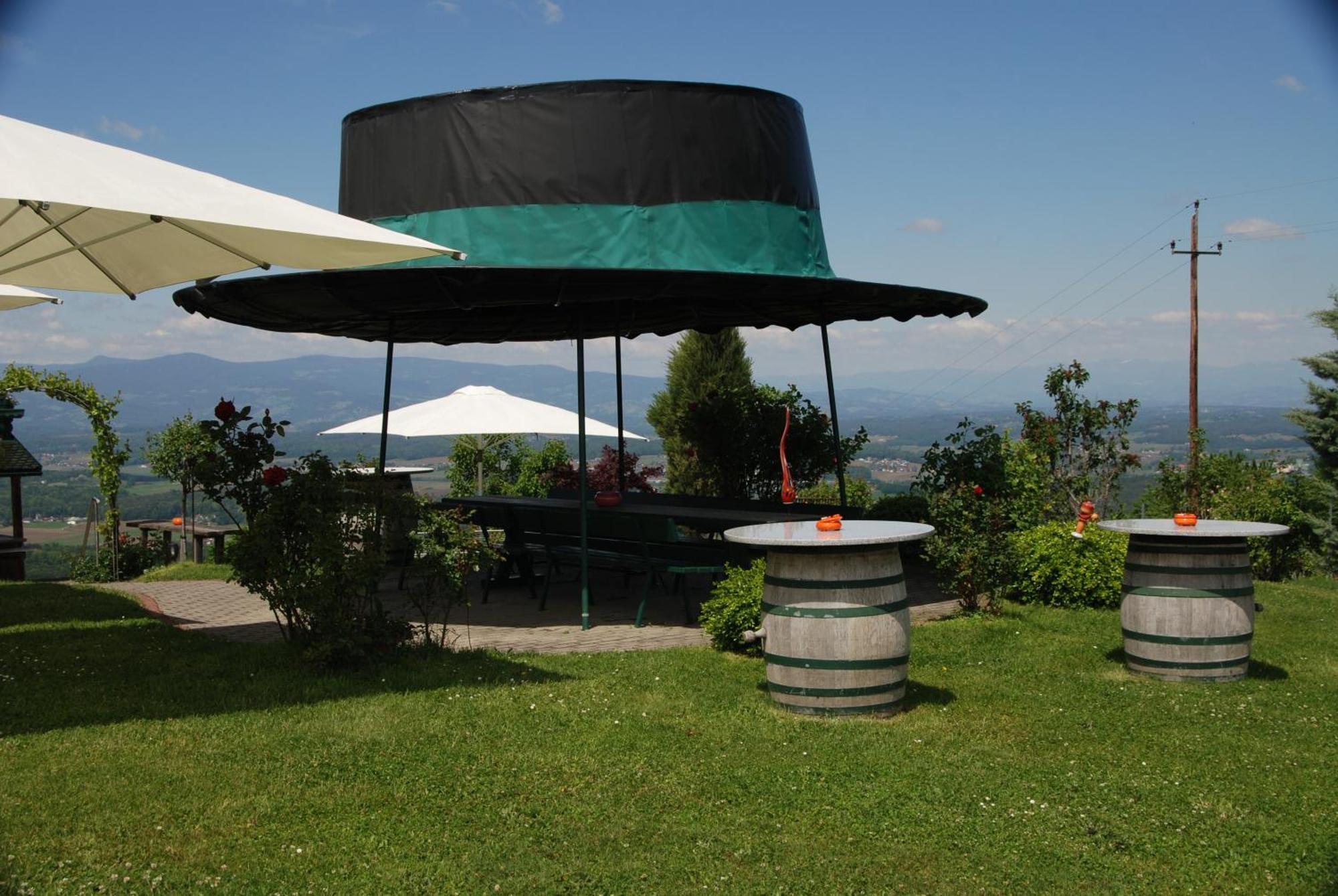 Naturpark-.Weinbergferienhaus Kitzeck im Sausal Exterior foto